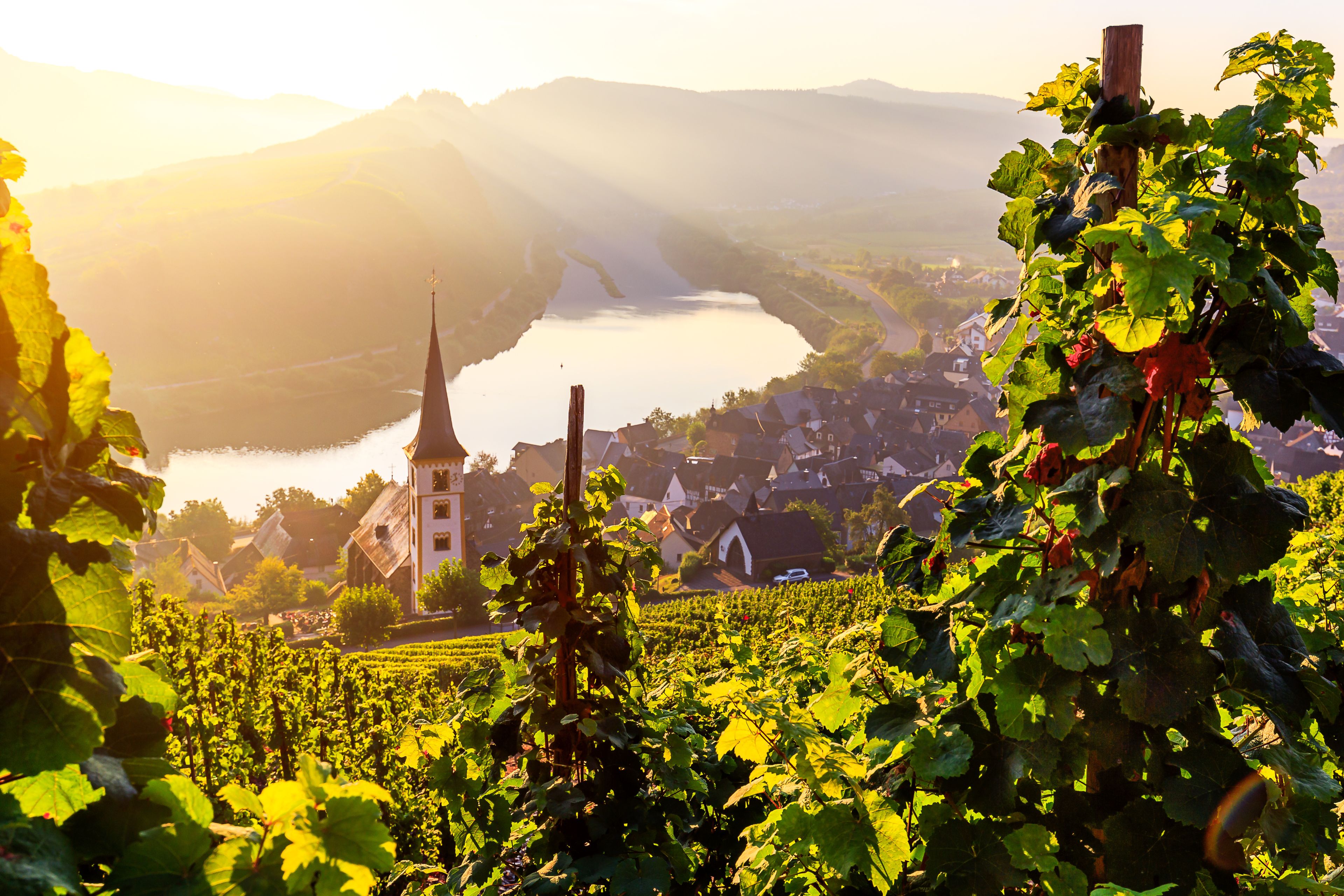 Mosel Romantik 2024 - Schiffs-Urlaub.de