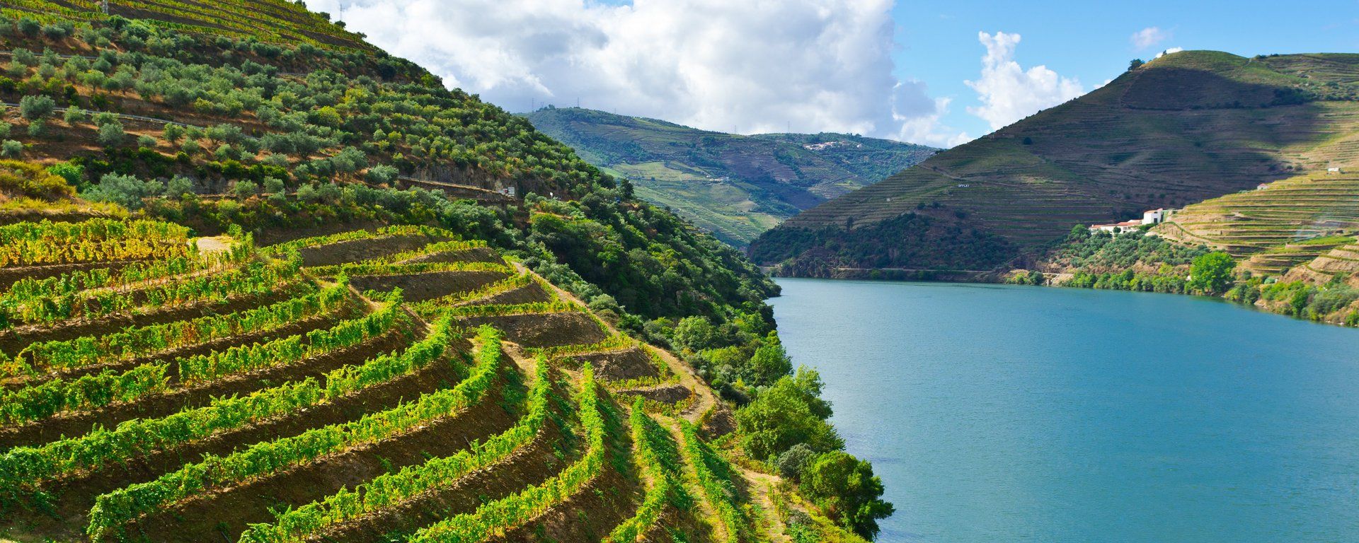 Douro Erlebnis 2024/2025