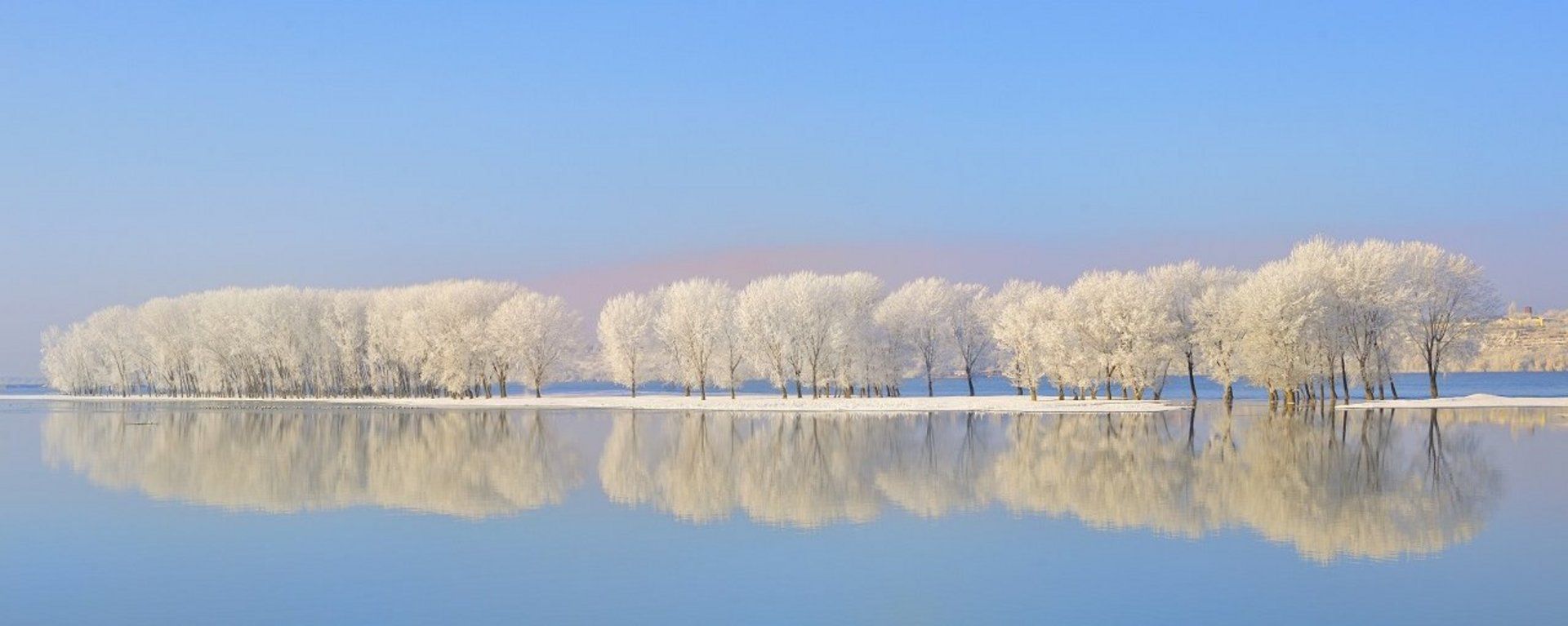 Donau Weihnachten 2024